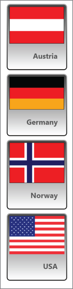 Snapshot of item container style.