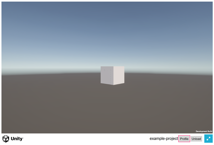 The Profile button in a Web build.